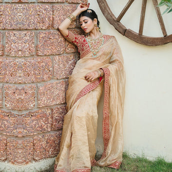 Heavy Soft Organza Saree with Sequin & Dori Embroidery