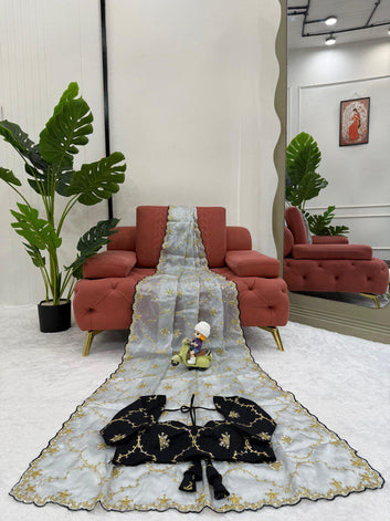 Beautiful Designer Saree on Zimmy Chu Febric